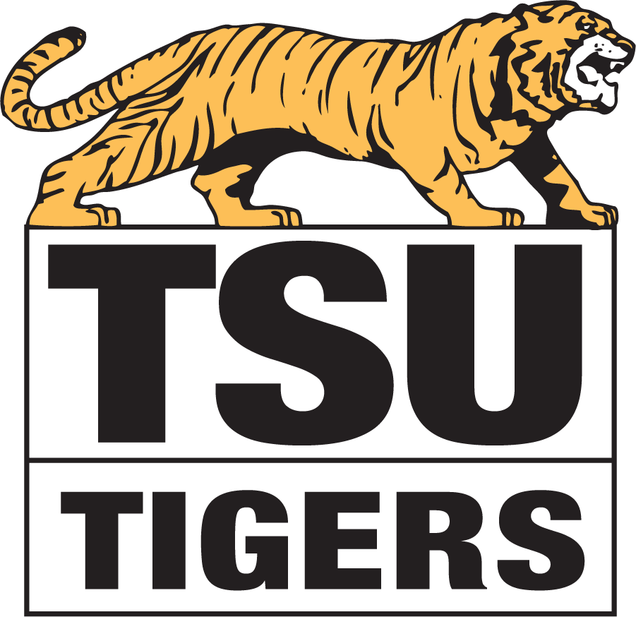Towson Tigers 1979-1985 Primary Logo DIY iron on transfer (heat transfer)